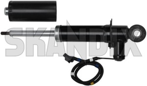 Shock absorber Rear axle Four-C / R-Line 31212036 (1031756) - Volvo S60 (-2009), V70 P26 (2001-2007) - shock absorber rear axle four c  r line shock absorber rear axle fourc rline monroe Monroe /    2 33 4c 57 active additional axle c chassis for four fourc four c info info  note packagelowering package lowering pieces please rline r line rear sports vehicles with