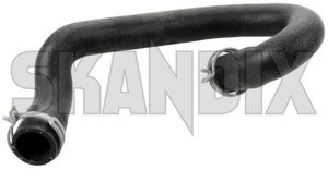 Radiator hose lower 30741963 (1033461) - Volvo C30, S40, V50 (2004-) - radiator hose lower Genuine lower