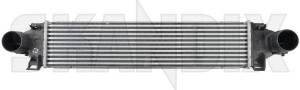 Intercooler, Charger 31338475 (1033533) - Volvo S60 CC (-2018), S60, V60 (2011-2018), V60 CC (-2018), XC60 (-2017) - intercooler charger Own-label 