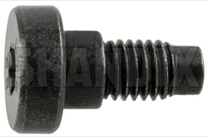 SKANDIX Shop Volvo Ersatzteile: Schraube, Motorabdeckung 986381 (1041815)