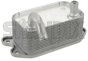Oil cooler, Engine oil 31201912 (1034058) - Volvo S60 (-2009), S80 (-2006), V70 P26, XC70 (2001-2007), XC90 (-2014) - oil cooler engine oil Own-label cooler cooling for oil wateroil water oil with