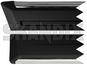 SKANDIX Shop Volvo Ersatzteile: Zierleiste, Tür für Beifahrerseite, hinten  1358859 (1036259)