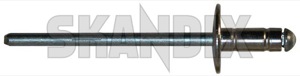 Rivet 975594 (1036432) - universal  - rivet Own-label 1,2 12 1 2 1,2 12mm 1 2mm 10 10mm 11,6 116 11 6 11,6 116mm 11 6mm 2,2 22 2 2 2,2 22mm 2 2mm 4,0 40 4 0 4,0 40mm 4 0mm mm