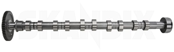 Camshaft intake side 30750758 (1036719) - Volvo C30, C70 (2006-), S40, V50 (2004-), S60 (-2009), S60, V60 (2011-2018), S80 (2007-), S80 (-2006), V70 P26, XC70 (2001-2007), V70, XC70 (2008-), XC90 (-2014) - ОЕ-Numbers: 30677509, 30731214, 8658358, 8699506 - Keywords: camshaft intake side Genuine intake side
