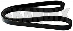 V-ribbed belt 31330157 (1038114) - Volvo S60 (2011-2018), S80 (2007-), V40 (2013-), V40 CC, V60 (2011-2018), V70 (2008-) - belts v ribbed belt vbelts v belts vribbed belt Own-label 