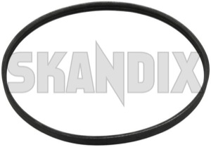 SKANDIX Shop Volvo Ersatzteile: Keilrippenriemen flexibel 3 Rippen