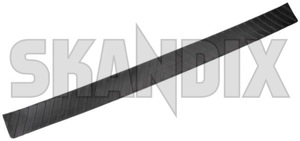 SKANDIX Shop Volvo Ersatzteile: Stoßstangenschutz 9491400 (1042553)