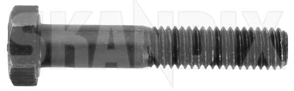 Schraube ohne Bund Außensechskant M8 986990 (1042838) - Volvo universal ohne Classic - ОЕ-Nummern: 955299 - Keywords: aussensechskantschrauben schraube ohne bund aussensechskant m8 schrauben Original 24 24mm 45 45mm 6 6kant 88 88 8 8 aussensechskant bund kant lackiert lackierter m8 metrisch mm ohne rand sechskant