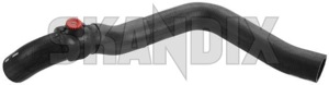 Radiator hose upper 30899122 (1044381) - Volvo S40, V40 (-2004) - radiator hose upper Genuine upper