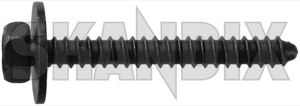 Tapping screw Screw and washer assembly Outer hexagon 4,8 mm 7982192 (1046807) - universal  - body screws bracket screw selftapping screw self tapping screw sheet screw tapping screw screw and washer assembly outer hexagon 4 8 mm tapping screw screw and washer assembly outer hexagon 48 mm Genuine 38 38mm 4,8 48 4 8 and assemblies assembly assies bolts combinationbolts combinationscrews disc hexagon loss mm outer prevent preventloss screw screwandwasherassemblies screwandwasherassies screws sems semsbolts semsscrews washer