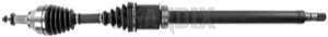 Drive shaft right  (1048062) - Volvo C30, C70 (2006-), S40, V50 (2004-) - drive shaft right Own-label new part right