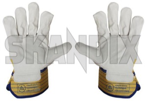 Gloves  (1049760) - universal  - gloves Own-label amirindsvollleder ami rindsvollleder leather uni unifit