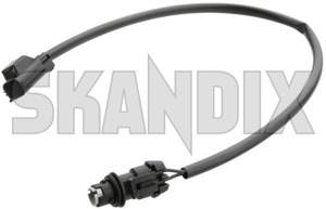 SKANDIX Shop Volvo Ersatzteile: Lampenträger, Rückleuchte unten für  Nebelschlussleuchte 8693010 (1053308)