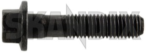 Screw/ Bolt Flange screw M12 982844 (1054151) - Volvo universal ohne Classic - screw bolt flange screw m12 screwbolt flange screw m12 Genuine 55 55mm 88 88 8 8 flange m12 metric mm painted screw thread with