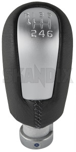 SKANDIX Shop Volvo Ersatzteile: Schraube, Motorabdeckung 9185967