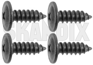 SKANDIX Shop Volvo Ersatzteile: Schraubensatz, KFZ-Kennzeichen 4