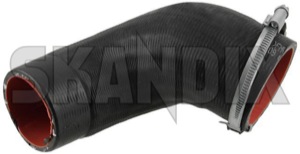 SKANDIX Shop Volvo Ersatzteile: Ladeluftschlauch Turbolader - Druckrohr  31370490 (1059920)