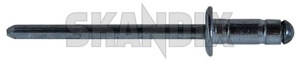 Blindniet 973885 (1060639) - Volvo universal - befestigung befestigungsnieten blindniet blindnieten nieten popniet popnieten poppnieten Original 1,5 15 1 5 1,5 15mm 1 5mm 16 16mm 2,7 27 2 7 2,7 27mm 2 7mm 4,8 48 4 8 4,8 48mm 4 8mm 9,5 95 9 5 9,5 95mm 9 5mm mm