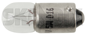 Bulb 24 V 5 W  (1063114) - universal  - bulb 24 v 5 w Own-label 24 24v 5 5w ba9s v w
