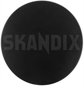 SKANDIX Shop Volvo Ersatzteile: Tankklappe lackierbar 31440250 (1063813)