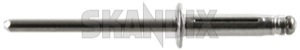 Rivet 4481834 (1064948) - Saab 9-3 (-2003), 900 (1994-) - rivet Genuine 1,0 10 1 0 1,0 10mm 1 0mm 17 17mm 2,5 25 2 5 2,5 25mm 2 5mm 4,8 48 4 8 4,8 48mm 4 8mm 8 8mm mm