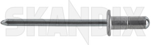 Blindniet 92153058 (1065713) - Saab universal ohne Classic - befestigung befestigungsnieten blindniet blindnieten nieten popniet popnieten poppnieten Original 1,0 10 1 0 1,0 10mm 1 0mm 10 10mm 2,5 25 2 5 2,5 25mm 2 5mm 4,0 40 4 0 4,0 40mm 4 0mm 8 8mm mm stahl
