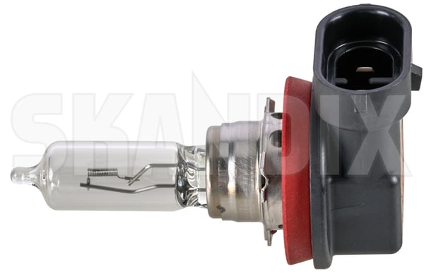 Leuchtmittel H9 Hauptscheinwerfer Halogen 92095788 (1065736) - Saab 9-3 (2003-) - Keywords: 93 93 9 3 birnen ersatzbirnen frontscheinwerfer funzel gluehbirnen gluehlampe gluehlampen gluehleuchten lampen leuchten leuchtmittel leuchtmittel h9 hauptscheinwerfer halogen lichter Hausmarke abblendbirnen abblendlampen abblendleuchten abblendlichtlampen abblendlichtleuchten ferndlichtlampen fernlichtbirnen fernlichtlampen fernlichtleuchten frontscheinwerfer h9 halogen halogenleuchte halogenlicht halogenscheinwerfer hauptscheinwerfer scheinwerfer scheinwerferabblenden