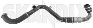 Charger intake pipe Intercooler - Pressure pipe Turbo charger 30792793 (1066847) - Volvo C30, C70 (2006-), S40, V50 (2004-) - charger intake pipe intercooler  pressure pipe turbo charger charger intake pipe intercooler pressure pipe turbo charger Genuine      charger equipped filter for intercooler particle pipe pressure standard supercharger turbo turbocharger vehicles with