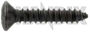Tapping screw Lens countersunk Inner-torx 4,8 mm 7970320 (1066933) - Saab universal ohne Classic - body screws bracket screw selftapping screw self tapping screw sheet screw tapping screw lens countersunk inner torx 4 8 mm tapping screw lens countersunk innertorx 48 mm Genuine 23 23mm 4,8 48 4 8 countersunk innertorx inner torx lens mm painted