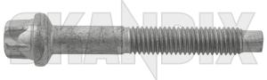 Screw/ Bolt Flange screw M8 Injection valve Injection pump 31321480 (1069485) - Volvo C30, S40, V50 (2004-), S60, V60 (2011-2018), S80 (2007-), V40 (2013-), V40 CC, V70 (2008-) - screw bolt flange screw m8 injection valve injection pump screwbolt flange screw m8 injection valve injection pump Genuine 55 55mm flange fuelinjectionvalves fuelinjectors fuelinjectorvalves injection injectionvalves injectors injectorvalves m8 metric mm pump screw thread valve with