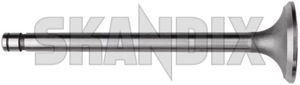 Inlet valve  (1069931) - Volvo PV - inlet valve Own-label 7,83 783 7 83 7,83 783mm 7 83mm mm part standard