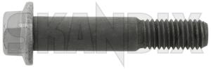 Screw/ Bolt Flange screw M10 987990 (1071545) - universal  - screw bolt flange screw m10 screwbolt flange screw m10 Genuine 109 109 10 9 55 55mm flange m10 metric mm painted screw thread with