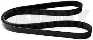 V-ribbed belt 31316998 (1071748) - Volvo V40 (2013-), V40 CC - belts v ribbed belt vbelts v belts vribbed belt Own-label aircon compressor crankshaft