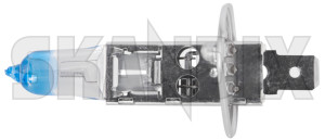 SKANDIX Shop Universal parts: Bulb H1 Headlight Foglight 12 V 55 W Night  Breaker LASER next generation (1072740)