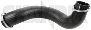 Charger intake hose Intercooler - Inlet pipe right 30636787 (1073318) - Volvo S60 (2011-2018), S80 (2007-), V70 (2008-) - charger intake hose intercooler  inlet pipe right charger intake hose intercooler inlet pipe right Genuine      inlet intercooler pipe right