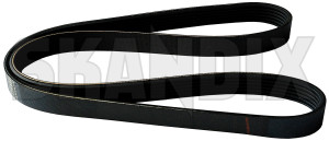 V-ribbed belt 31330380 (1073790) - Volvo S60 (2011-2018), S80 (2007-), V60 (2011-2018), V70 (2008-), XC60 (-2017) - belts v ribbed belt vbelts v belts vribbed belt Own-label 
