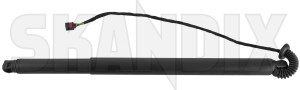 Motor, Elektrische Heckklappe für links und rechts passend 31690604 (1074872) - Volvo XC90 (2016-) - antriebsaggregat antriebseinheiten antriebsmotor antriebsservo automatische heckklappe elektrisch betaetigte heckklappe heckklappenantriebsaggregat heckklappenantriebsmotor heckklappenantriebsservo motor elektrische heckklappe fuer links und rechts passend servo Hausmarke    6n02 automatischer beide beidseitig fahrzeuge fuer heckklappe l702 l704 linke linker links linksseitig mit passend rechte rechter rechts rechtsseitig seite seiten und