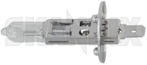 SKANDIX Shop Universal parts: Bulb H1 Headlight Foglight 12 V 55 W