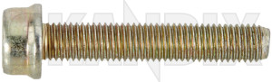 Screw/ Bolt Flange screw M7 Oil pan 30680654 (1075808) - Volvo C30, C70 (2006-), S40, V50 (2004-), S80 (2007-), V70 (2008-) - screw bolt flange screw m7 oil pan screwbolt flange screw m7 oil pan Genuine 40 40mm flange m7 metric mm oil pan screw thread with