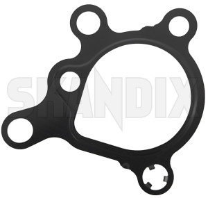 Seal, Injection pump 31316642 (1076305) - Volvo S60 (2011-2018), S80 (2007-), V60 (2011-2018), V70 (2008-), XC60 (-2017) - packning seal injection pump Genuine      cylinderhead gasket injection pump
