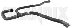 Radiator hose lower 30741999 (1077328) - Volvo C30, C70 (2006-), S40 (2004-), V50 - radiator hose lower Genuine lower