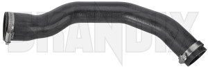Charger intake hose Intercooler - Inlet pipe right 31261897 (1078699) - Volvo C30, C70 (2006-), S40, V50 (2004-) - charger intake hose intercooler  inlet pipe right charger intake hose intercooler inlet pipe right Own-label      equipped filter for inlet intercooler particle pipe right standard vehicles with