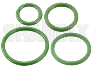 Seal ring Expansion valve Kit  (1081037) - Saab 9-3 (-2003) - gasket seal ring expansion valve kit skandix SKANDIX acc ecc expansion kit oring o ring valve