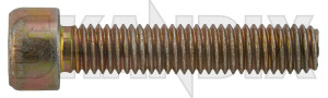 Screw/ Bolt Strut 7982812 (1088042) - Saab 900 (-1993) - screw bolt strut screwbolt strut Genuine strut