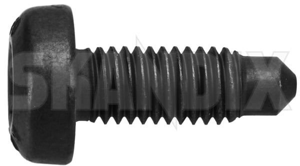 Schraube Innen-Torx Ölpumpe 9487162 (1094319) - Volvo Polestar 1, S60, V60, S60 CC, V60 CC (2011-2018), S60, V60, V60 CC (2019-), S80 (2007-), S90 (2017-), V40 (2013-), V40 CC, V70 (2008-), V90 (2017-), V90 CC, XC40/EX40, XC60 (2018-), XC60 (-2017), XC70 (2008-), XC90 (2016-) - Keywords: cc cross country s80 schraube innen torx oelpumpe schraube innentorx oelpumpe schrauben torxschrauben v40 v70 xc60 xc70 Original innentorx innen torx oelpumpe torque torx